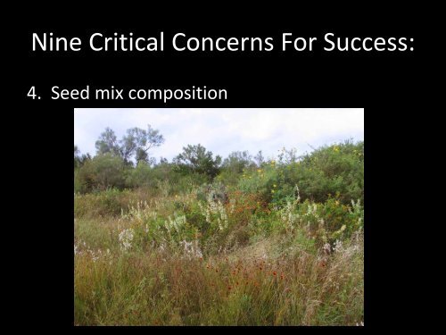 Native Prairie Restoration in South Texas - Caesar Kleberg Wildlife ...