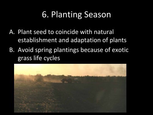 Native Prairie Restoration in South Texas - Caesar Kleberg Wildlife ...