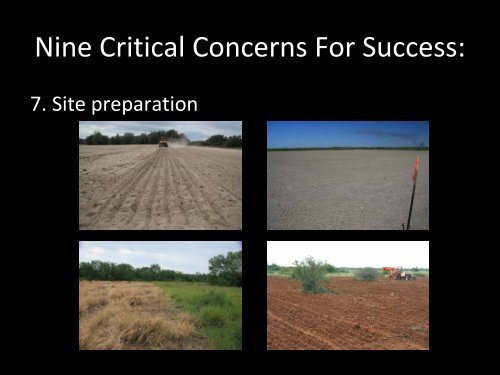 Native Prairie Restoration in South Texas - Caesar Kleberg Wildlife ...