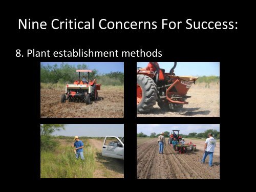 Native Prairie Restoration in South Texas - Caesar Kleberg Wildlife ...