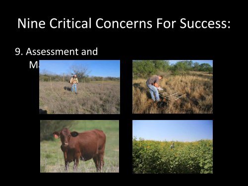 Native Prairie Restoration in South Texas - Caesar Kleberg Wildlife ...