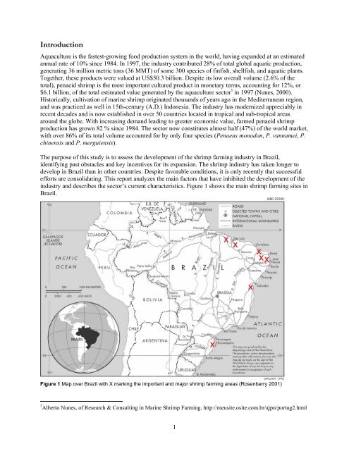 Shrimp Farming in Brazil: An Industry Overview - Library - Network of ...