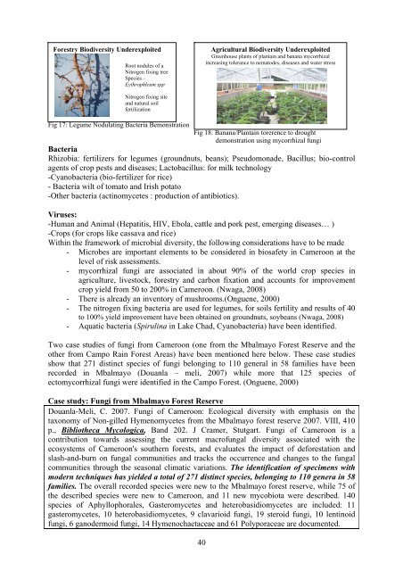 cameroon fourth national report - Impact monitoring of Forest ...