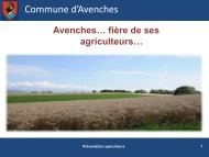 Commune d'Avenches - Commune Avenches