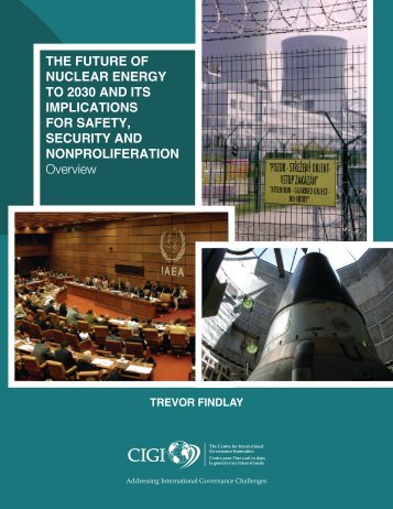 THE FUTURE OF NUCLEAR ENERGY TO 2030 AND ITS ... - acuns