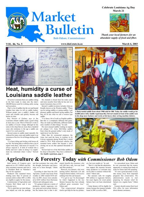 https://img.yumpu.com/3048416/1/500x640/heat-humidity-a-curse-of-louisiana-saddle-leather-department-of-.jpg