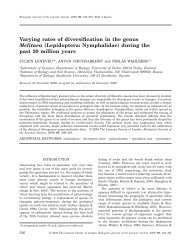 Varying rates of diversification in the genus Melitaea (Lepidoptera ...
