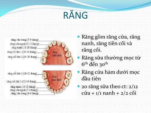 Há» TIÃU HÃA - Moodle YDS