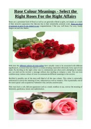 Rose Colour Meanings - Select the Right Roses For the Right Affairs