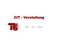 PDF, 47,3 KB - Fachgebiet Komplexe und Verteilte IT-Systeme - TU ...