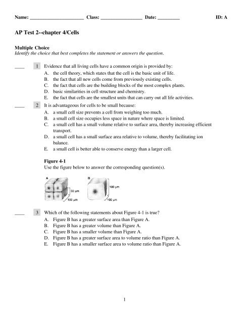 AP Test 2--chapter 4/Cells - University City Schools