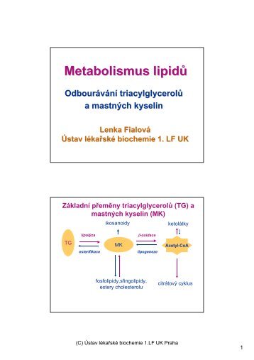 Metabolismus lipidÅ¯ - Ãstav lÃ©kaÅskÃ© chemie a biochemie