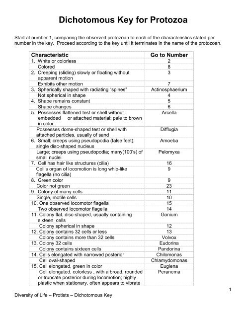 What Is A Dichotomous Key In Science
