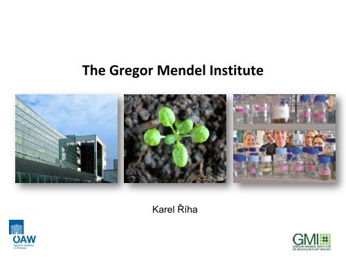 The Gregor Mendel Institute