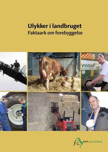 Ulykker i landbruget Ã¢Â€Â“ Faktaark om forebyggelse - BAR - jord til bord.