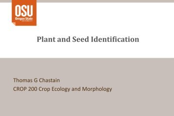 Plant and Seed Identification - Crop and Soil Science