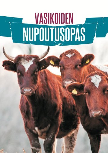 Nupoutusopas