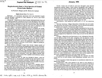 Haplochromis linni, a New Species of Cichlid From Lake Malawi