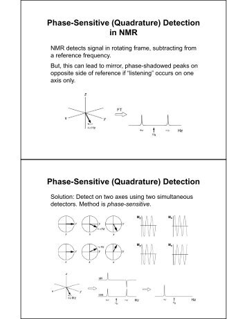 Phase-Sensitive (Quadrature) Detection i NMR n NMR Phase ...