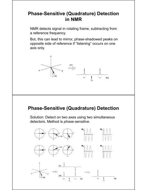 Phase-Sensitive (Quadrature) Detection i NMR n NMR Phase ...