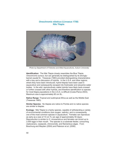 Oreochromis niloticus (Linnaeus 1758) Nile Tilapia