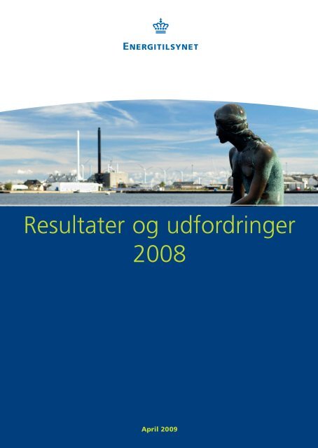 Resultater og udfordringer 2008.pdf - Energitilsynet