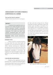 management of subcutaneous emphysema in a horse - Jivaonline.net