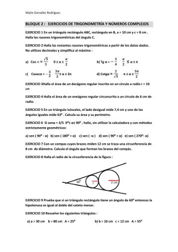 BLOQUE 2 : EJERCICIOS DE TRIGONOMETRÃA Y ... - IES Rey Pastor