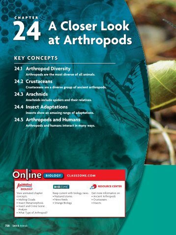 24 A Closer Look at Arthropods