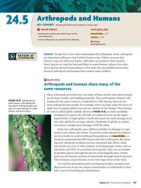 24 A Closer Look at Arthropods