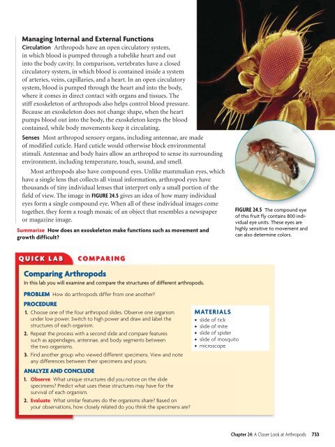 24 A Closer Look at Arthropods