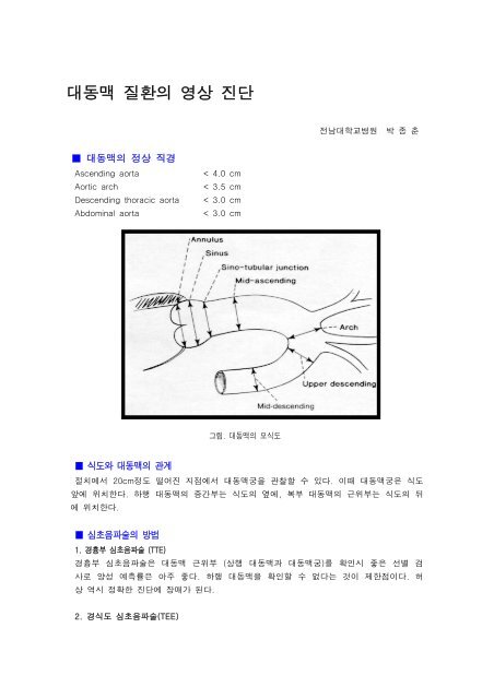 대동맥질환의 영상진단 - 전남대병원 박종춘 - 대한심장학회혈관연구회