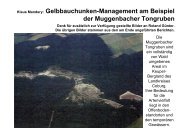 Muggenbacher Tongruben - Bund Naturschutz in Bayern e.V.