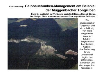 Muggenbacher Tongruben - Bund Naturschutz in Bayern e.V.