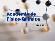 academia de fisicoquimica - Bienvenidos a la PÃ¡gina del CIIDIR-IPN ...