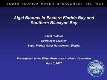 Algal Blooms in Eastern Florida Bay and Southern Biscayne Bay