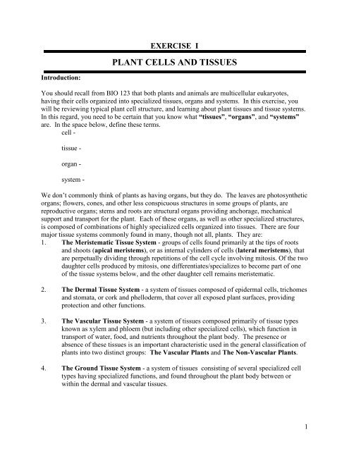 PLANT CELLS AND TISSUES - PageOut