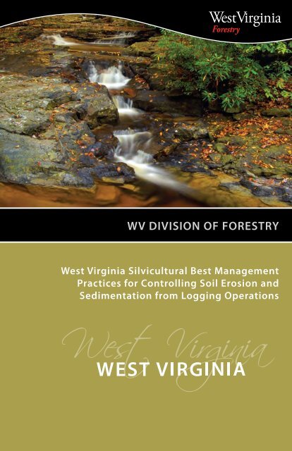 How to Measure a Big Tree - WV Division of Forestry