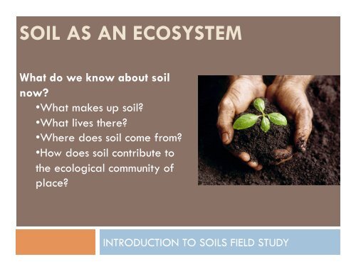 soil as an ecosystem