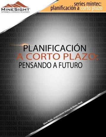 PlanificaciÃ³n a corto plazo - Mintec, Inc.