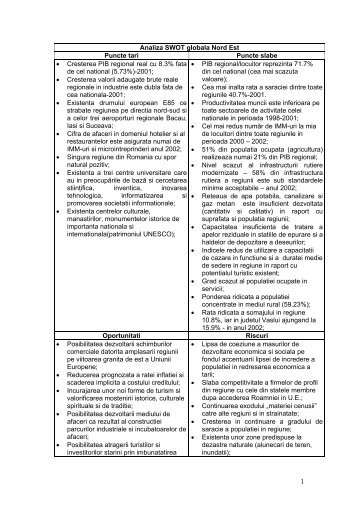 Analiza SWOT a Regiunii de Nord Est