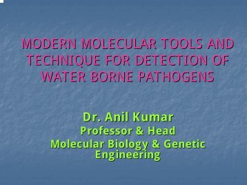 Modern molecular tools and technique for detection of water borne ...