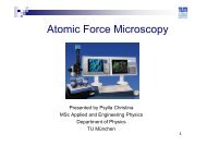 Atomic Force Microscopy - E21
