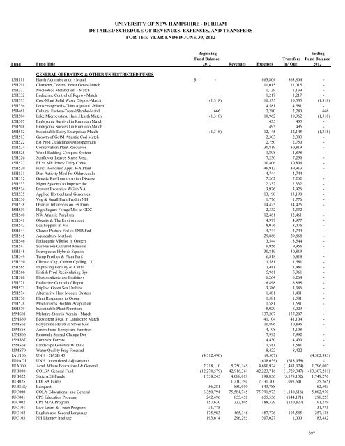 Statement of Revenues, Expenses and Changes in Net Position Detail