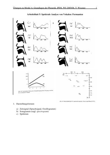 Übungen zu Modul A: Grundlagen der  Phonetik, IPDS ... - IPdS in Kiel