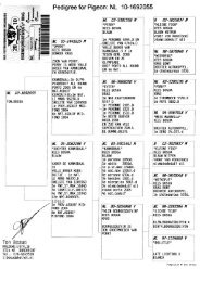 Pedigree for Pigeon: NL 10-1692055 - Hamilton Racing Pigeons