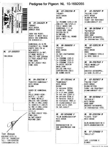 Pedigree for Pigeon: NL 10-1692055 - Hamilton Racing Pigeons