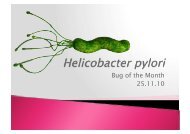 Helicobacter pylori.pdf - Academic lab pages - School of Biosciences