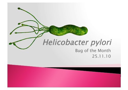 Helicobacter pylori.pdf - Academic lab pages - School of Biosciences