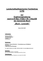 (LFB) zur ErgÃ¤nzungssatzung nach Â§ 34 Abs. 4 ... - Gemeinde Much